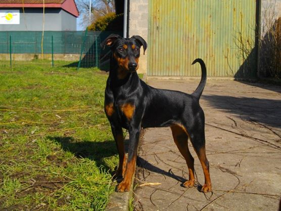 14,5 mois