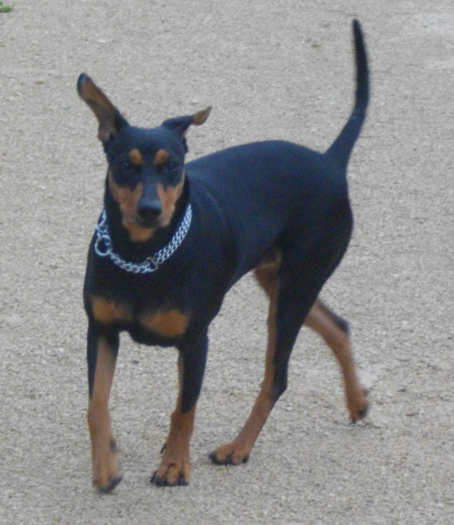 Tabatha fin 2011