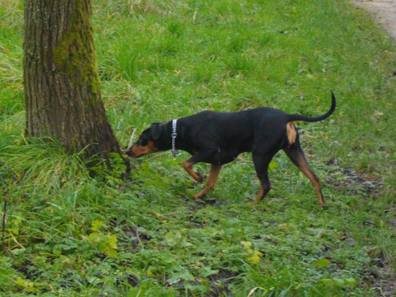 Tabatha fin 2011