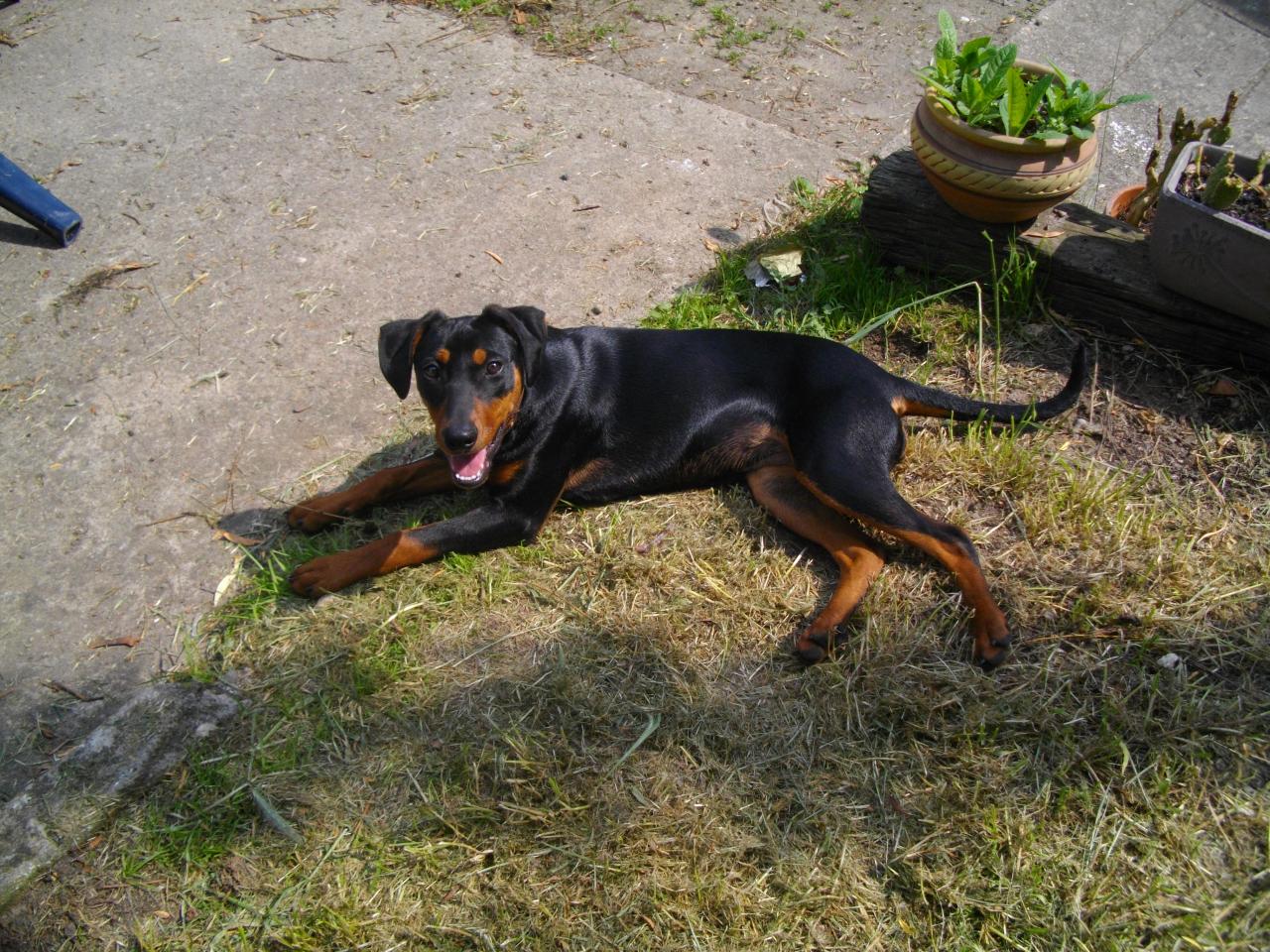 Pretty, Mai 2012