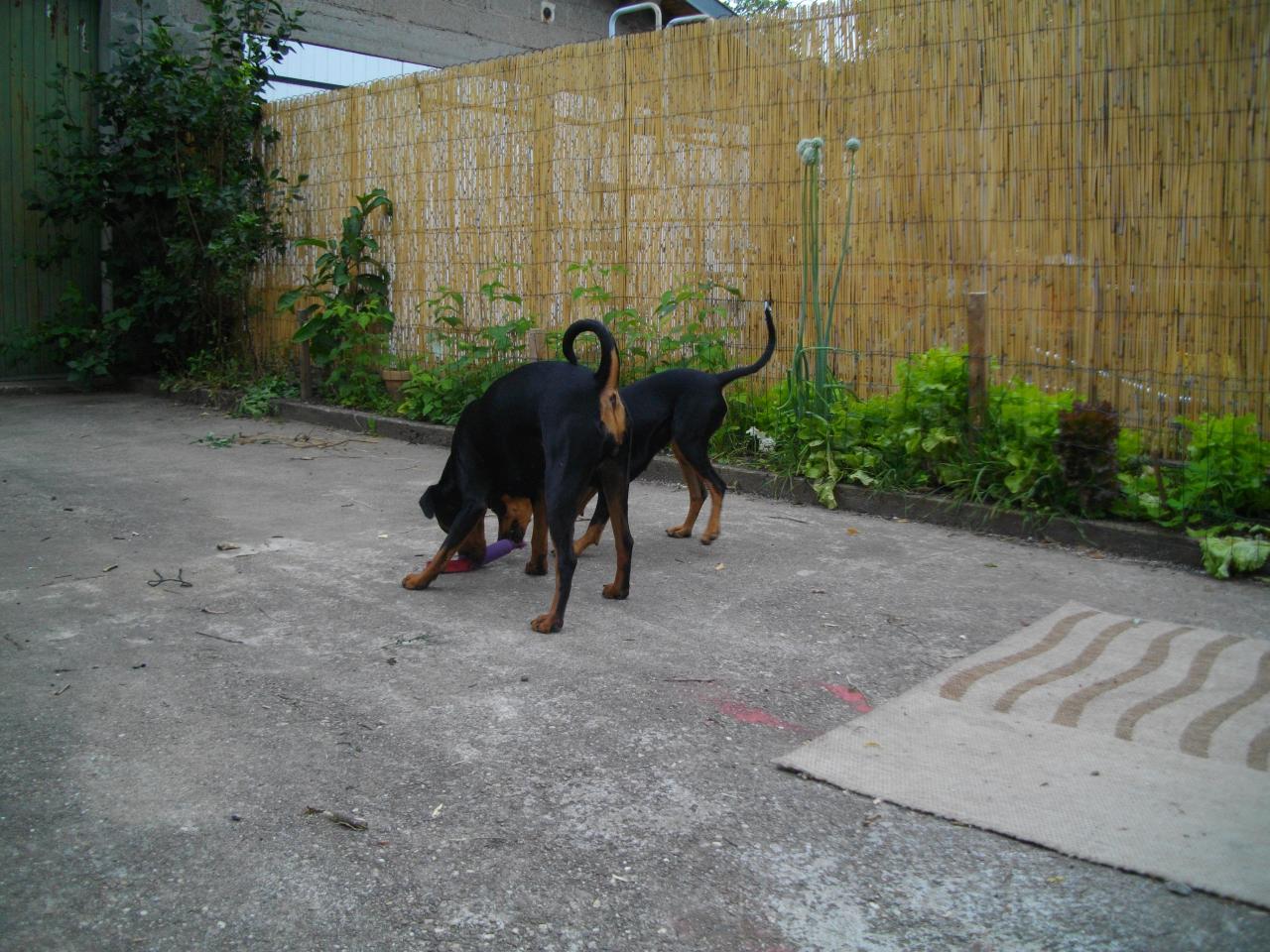 Camma, Tabatha