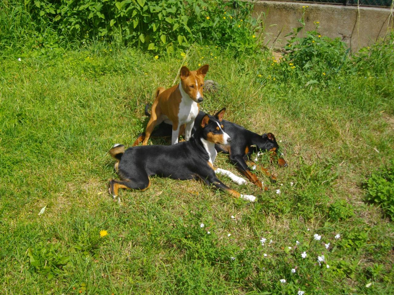 Gary, Sandy assise sur Pretty