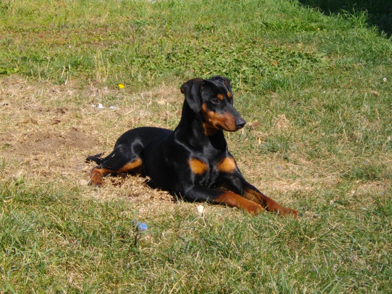 Septembre 2012