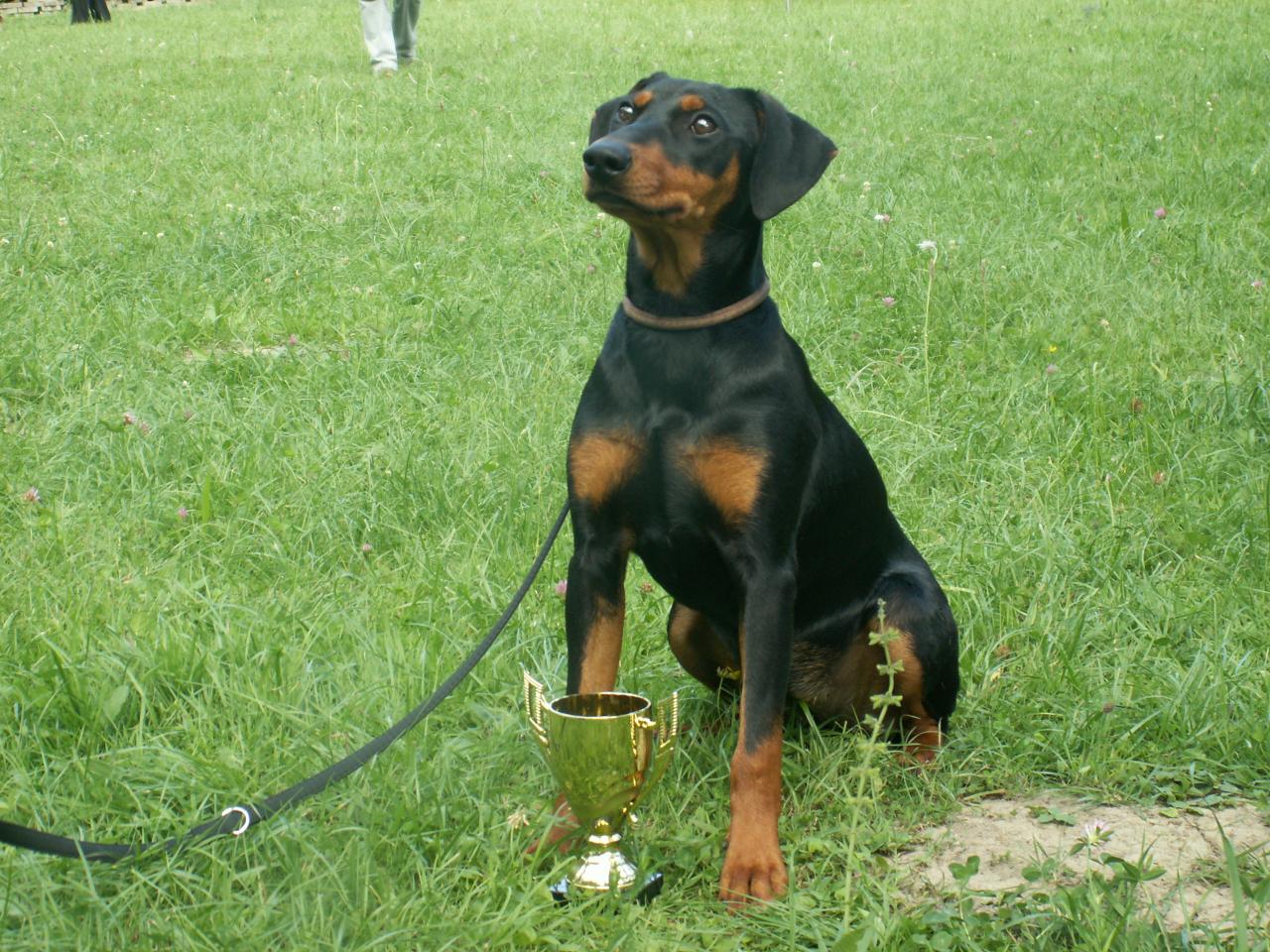 Wantzenau 2012