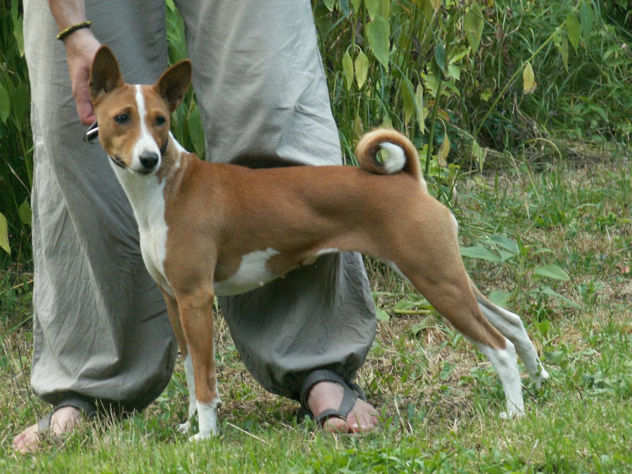 Août 2012