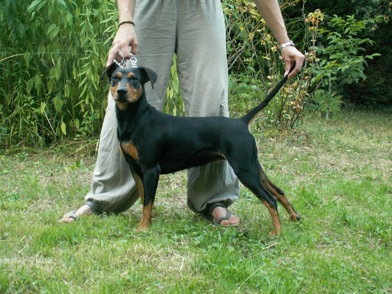 Août 2012