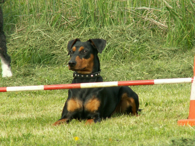 Tabatha 2009